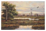Marshland
