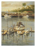 Bahama Harbor