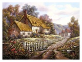 Clospie Village Garden