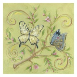 Butterfly Green