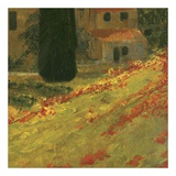 Poppies of Toscano II  no 12