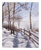 Fresh Snow