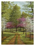 Dogwood Lane