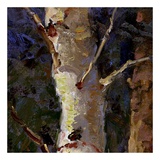 Beautiful Winter (detail no 7)