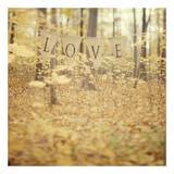 All is Love