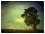 Daybreak