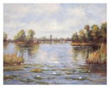 Tranquil Reflections