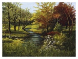 Stony Creek
