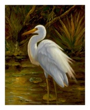 Tropical Egret II