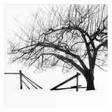Snow Bound