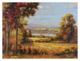 Autumn Trees I