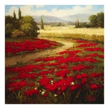 Red Poppy Trail