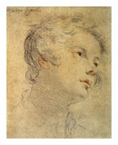 Head of a Youth