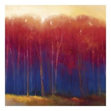 Deep Woods In Autumn