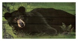 Lazy Bear Ranch