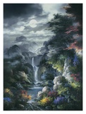Midnight Mist Canyon
