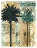 Palm IV