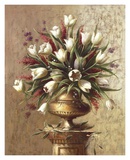 Spring Expressions II