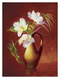 Tropical Tulips