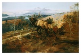 The Elk