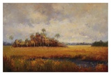 Oasis in the Fall