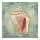 Seashells III