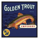 Golden Trout