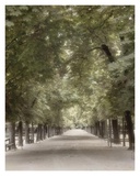 Morning In The Park II