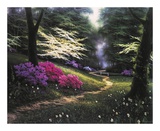 Dogwood Trail