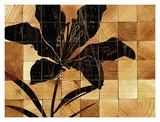 Layers of Lily
