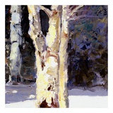 Beautiful Winter (detail no 6)