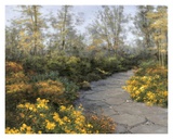 Step into Autumn