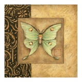 Luna Moth Square