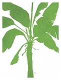 Silhouette of Palm II