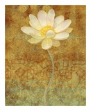 Abstract Lotus II