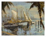 Tropical Sail