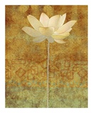 Abstract Lotus I
