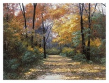 Autumn Road