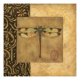 Dragonfly Square