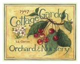 Cottage Garden III