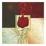 Tulip Square IV
