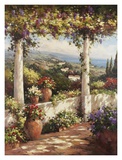 Terrace Hermosa