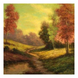 Forest Path at Sundown
