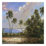 Mystic Lagoon II