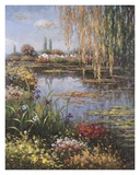 White Rose Garden