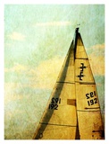 Newport Sails II