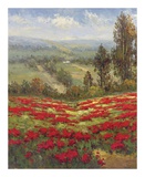 Poppy Vista II