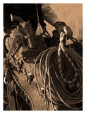 Range Rider III