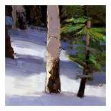 Majestic Winter (detail no 5)