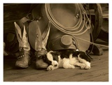 Cowboy Puppy